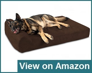 Big Barker 7" Pillow Review