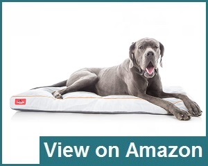 Brindle Soft Large Bed Review