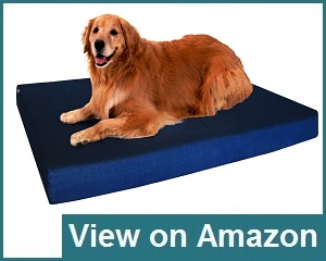 Dogbed4less Premium Review