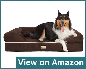 Friends Forever Orthopedic Dog Bed Review