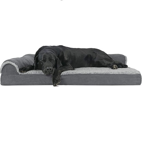 Furhaven Pet Dog Bed Review