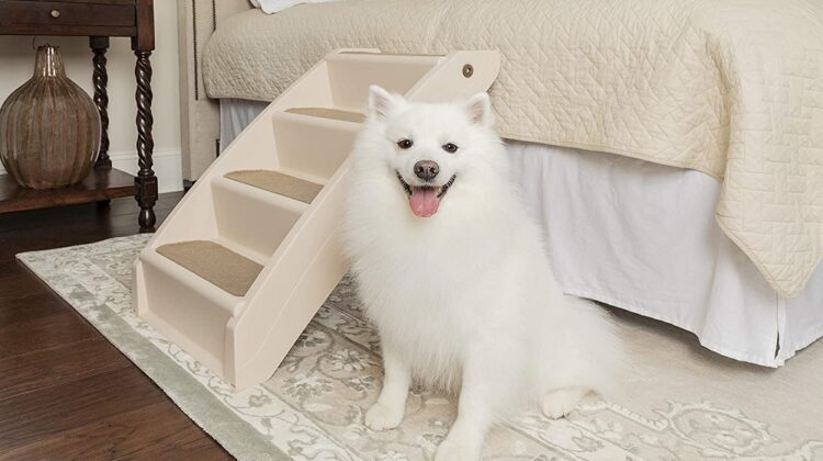 Best Dog Steps And Stairs