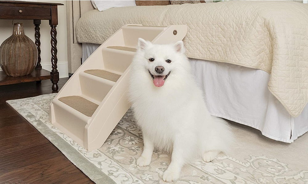 The 10 Best Dog Steps And Stairs of 2021 Dog Guide Reviews