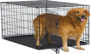 Best Large Dog Crates