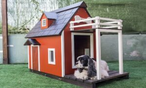 best outdoor dog houses