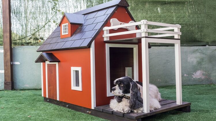 best outdoor dog houses