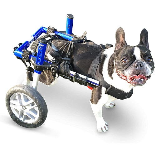 Walkin' Wheels Dog Wheelchair Review