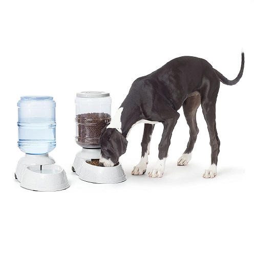 heavy duty automatic dog feeder