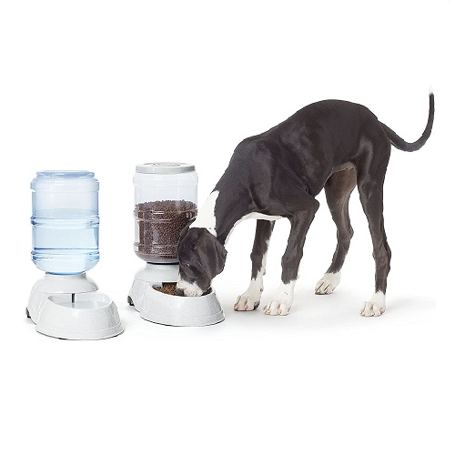 dog automatic feeder