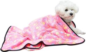 Best Dog Blankets