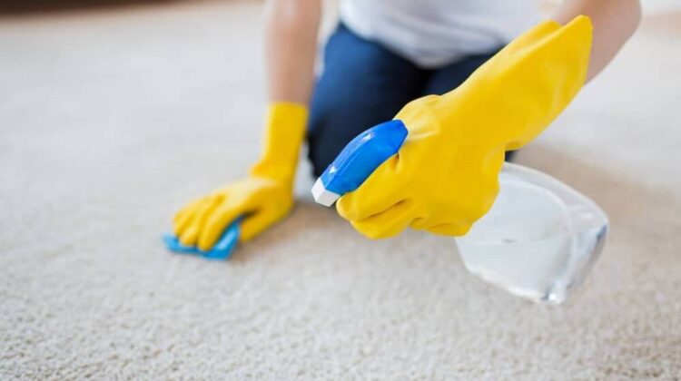 Best Pet Carpet Cleaners