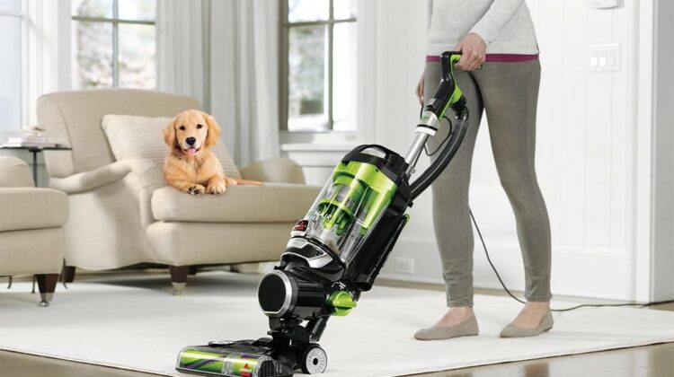 Best Vacuums For Pet Hair