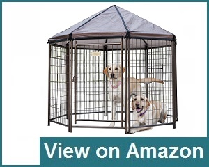 Advantek Kennel Review