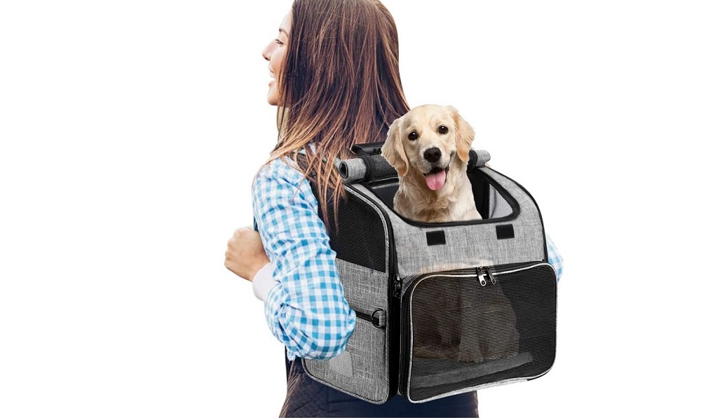 dog weekend backpack