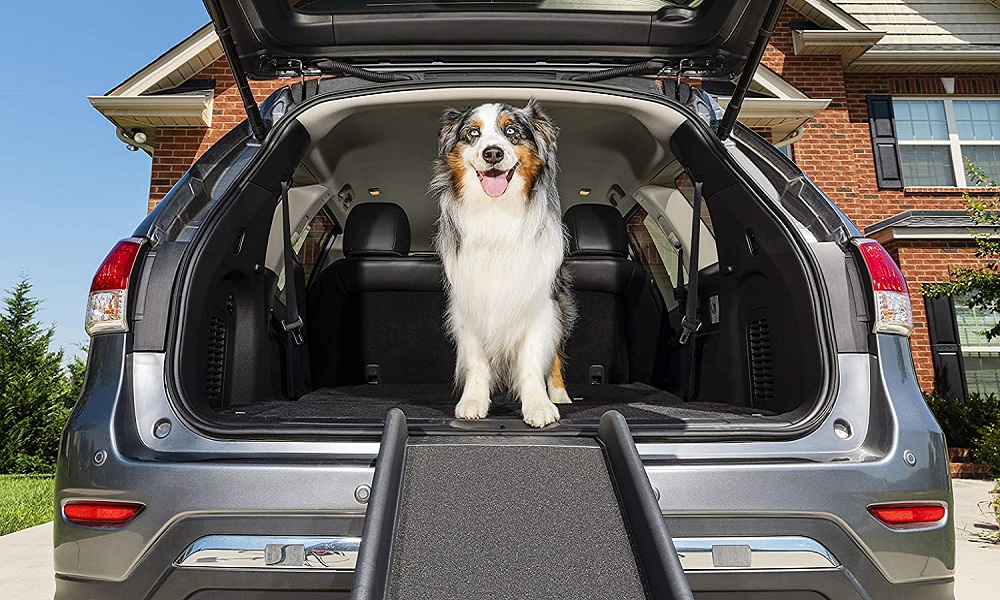The 10 Best Dog Ramps of 2021 Dog Guide Reviews