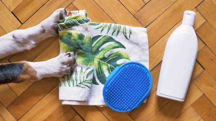 Best Dog Shampoos