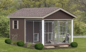 Best Outdoor Dog Kennel