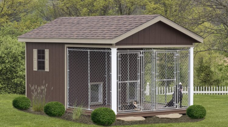 Best Outdoor Dog Kennel