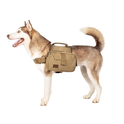 One Tigris Dog Backpack Review