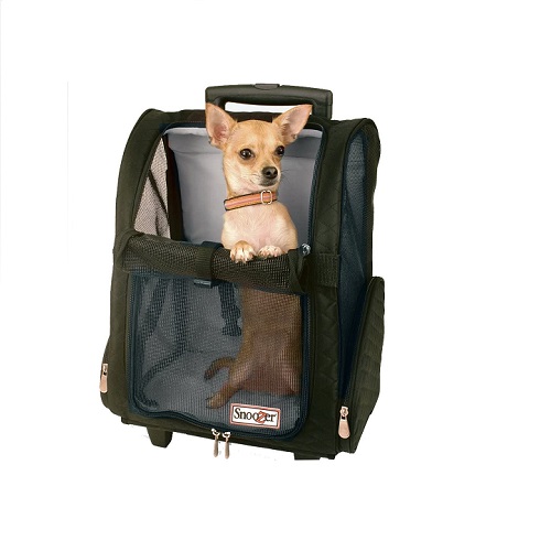 Snoozer Pet Travel Carrier Review