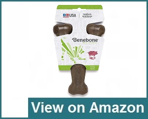 Benebone Real Toy Review