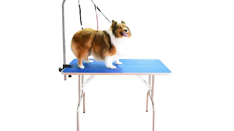 Best Dog Grooming Tables