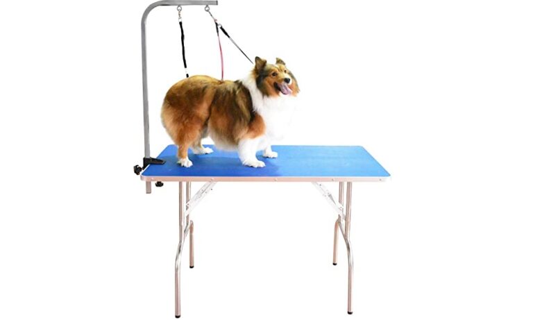 The 10 Best Dog Grooming Tables of 2021 – Dog Guide Reviews