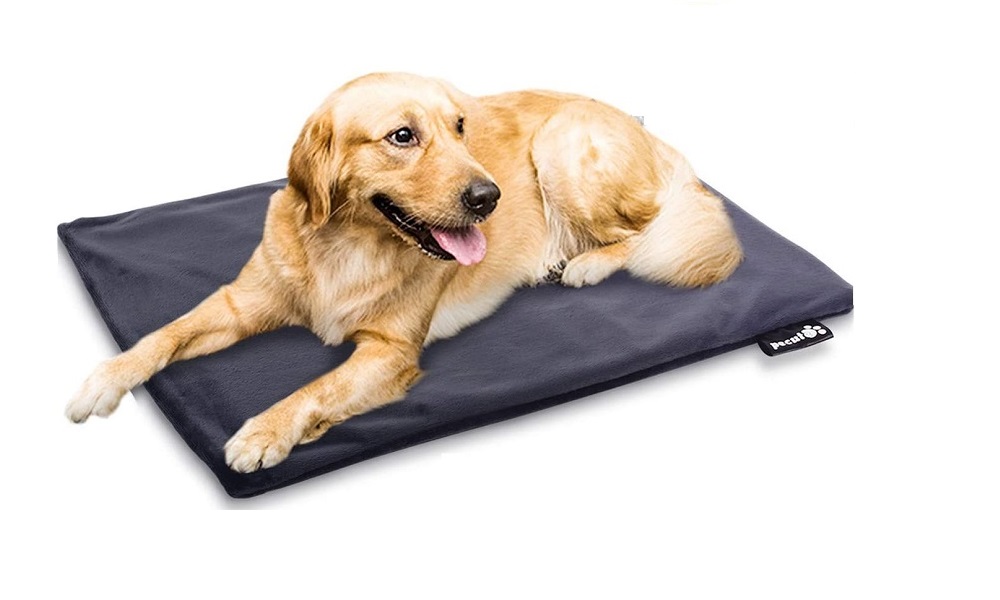 The 10 Best Dog Heating Pads of 2021 Dog Guide Reviews