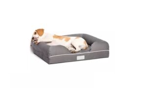 Best Heated Dog Beds