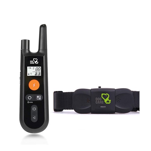 The 10 Best Electric Collars for Dogs 2022 Dog Guide Reviews