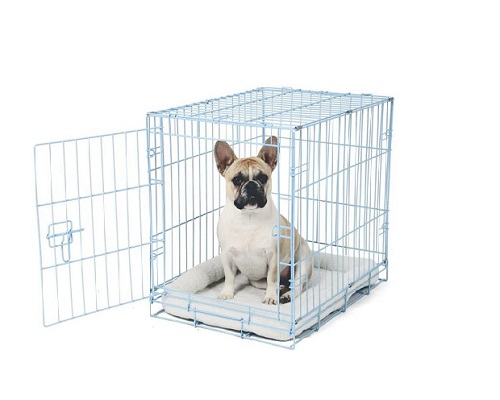 Why Do Dogs Cry In The Crate