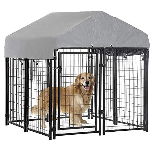 Why Do Pet Parents Use Crates for Dogs