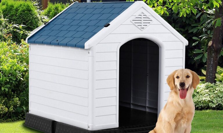 How to Insulate a Plastic Dog House – Dog Guide Reviews