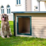 How to Insulate a Plastic Dog House