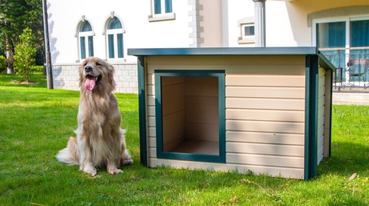 How to Insulate a Plastic Dog House