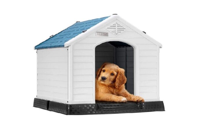 How to Insulate a Plastic Dog House – Dog Guide Reviews