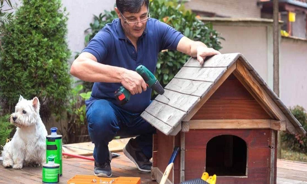 Why Should You Need to Insulate Your Dog House