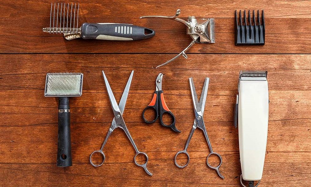 Right Tools to Cut Dog’s Hair