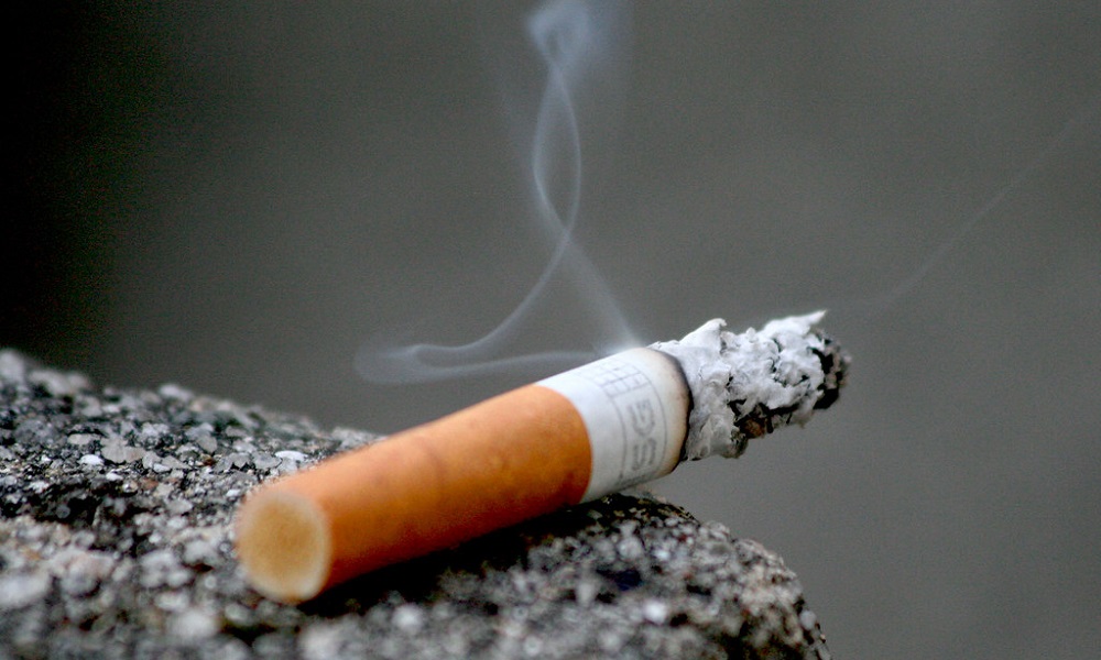 Risks of Nicotine Poisoning in Dogs