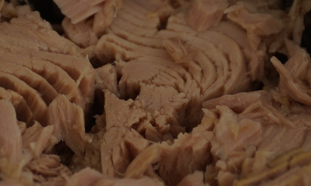 Tuna Fish for Dogs