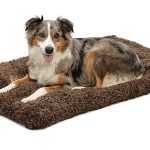 Best Dog Beds For Bernese Mountain Dogs