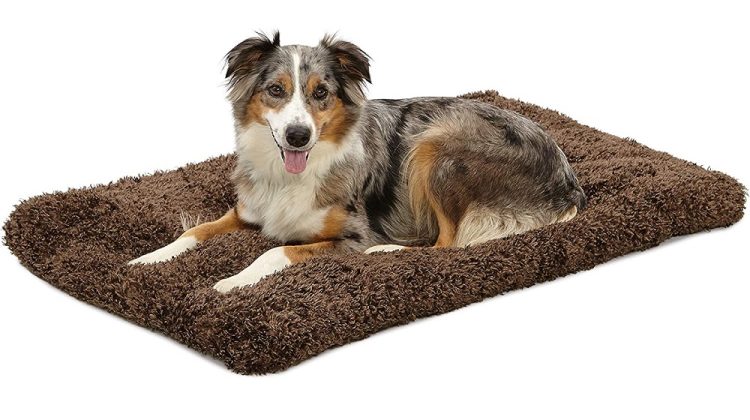 Best Dog Beds For Bernese Mountain Dogs