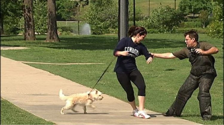 Would My Dog Protect Me If I Was Attacked