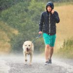Should I Walk My Dog in The Rain