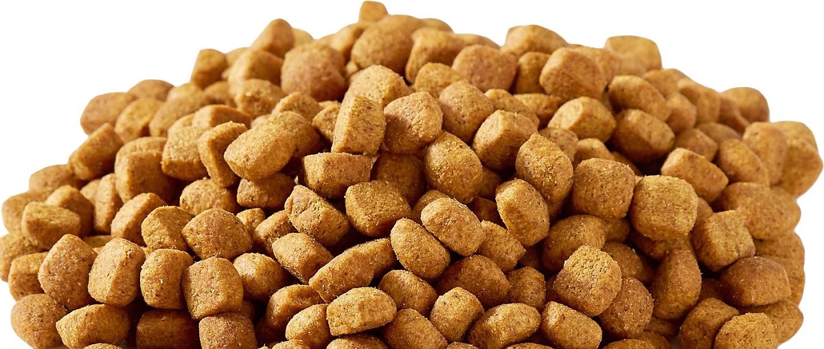 Is Kibble Bad for Dogs?