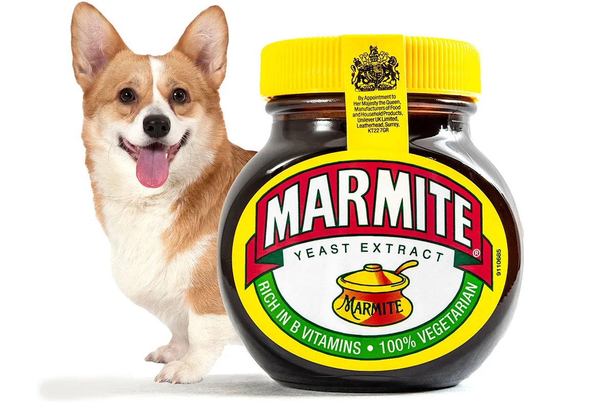 Is Marmite Okay for Dogs