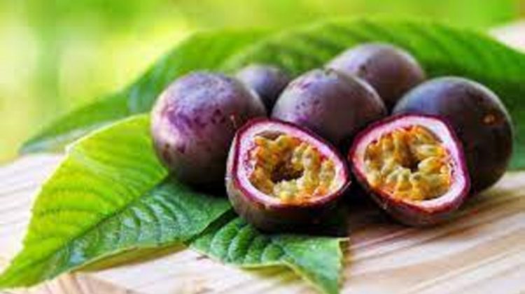 Is Passion Fruit Good For Dogs