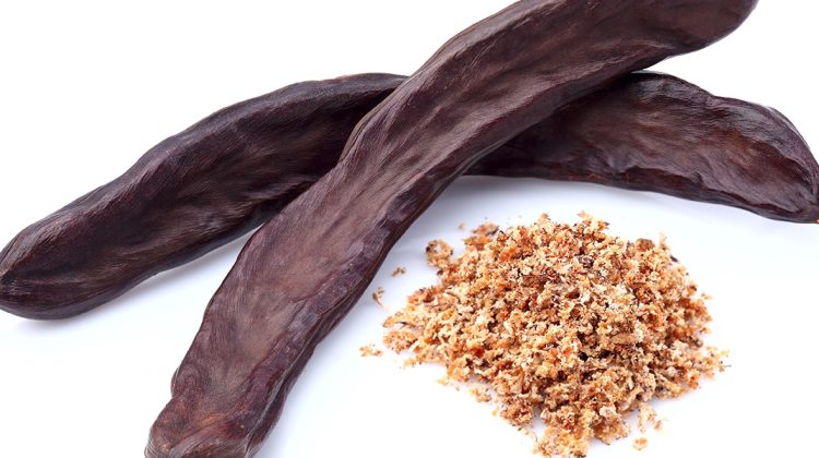 Is Carob Ok for Dogs