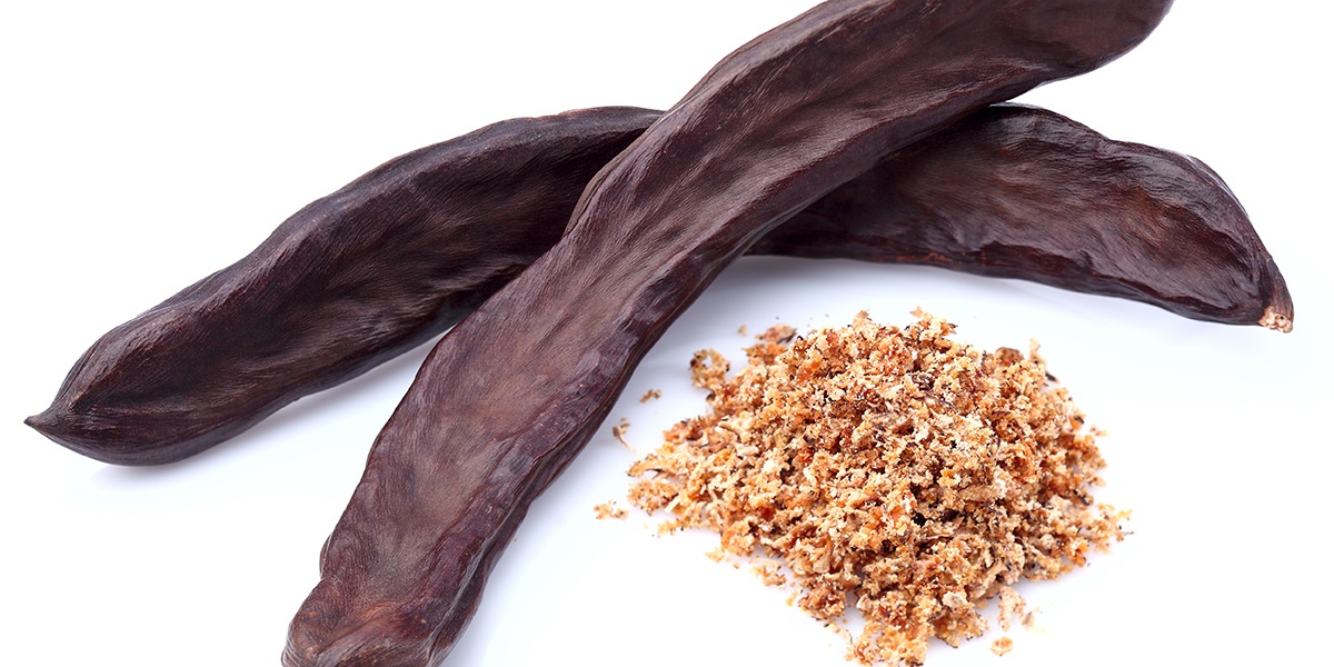Is Carob Ok for Dogs