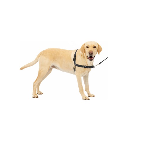 PetSafe Easy Walk No-Pull Dog Harness